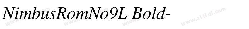 NimbusRomNo9L Bold字体转换